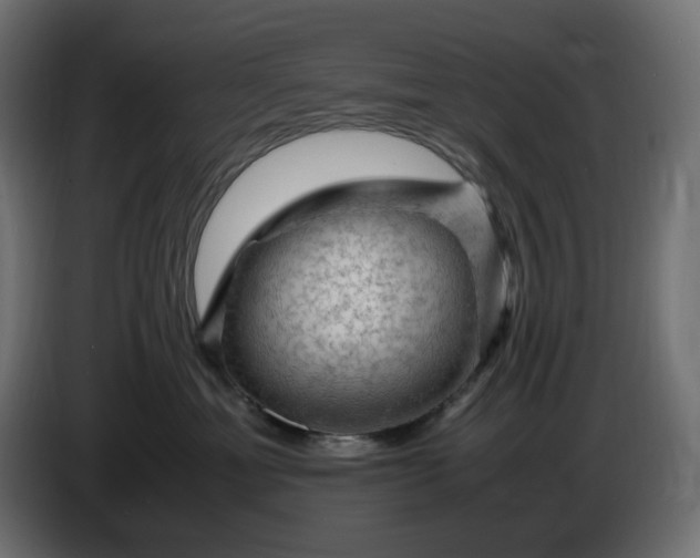 X0000087420429200705041311