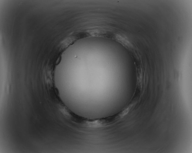 X0000087420430200705041311
