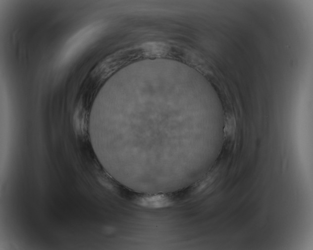 X0000087420431200705041311