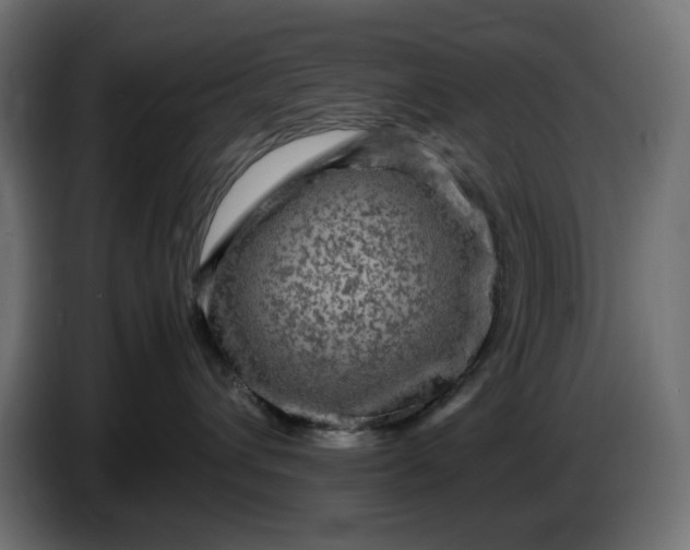 X0000087420432200705041311