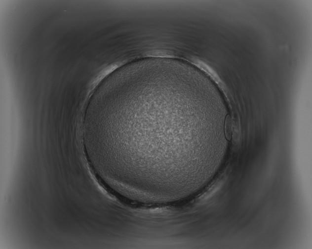 X0000087420433200705041311