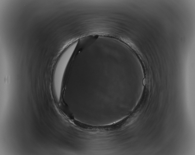X0000087420434200705041311