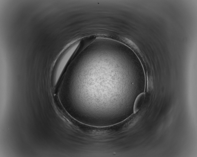 X0000087420435200705041311