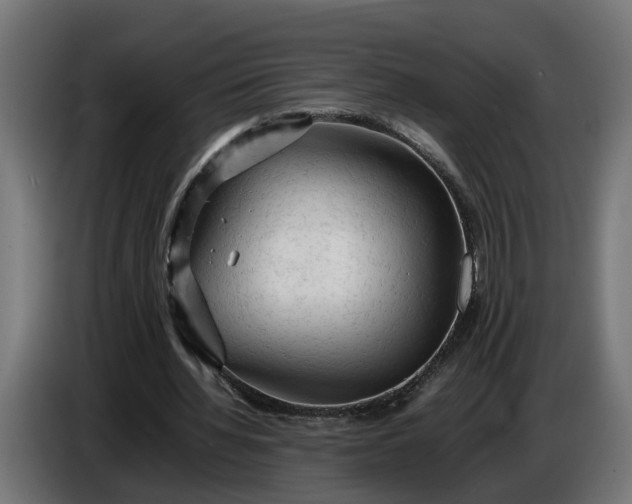 X0000087420436200705041311