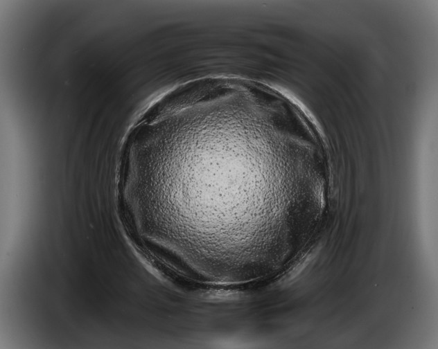 X0000087420437200705041311