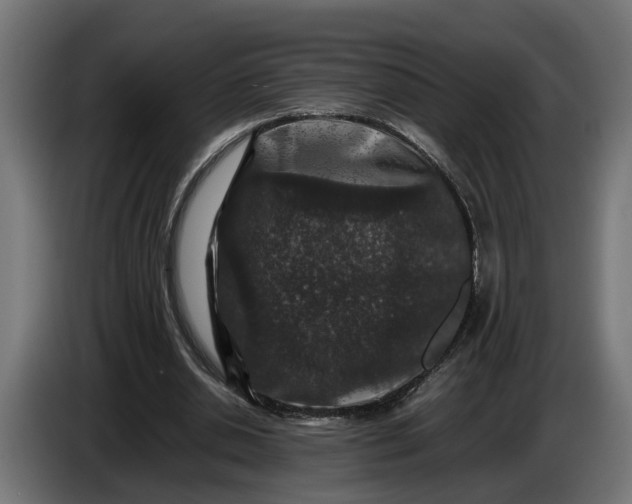 X0000087420438200705041311