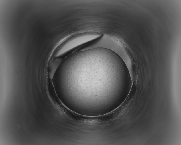 X0000087420440200705041311
