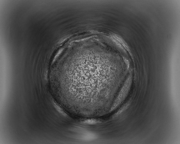 X0000087420441200705041311