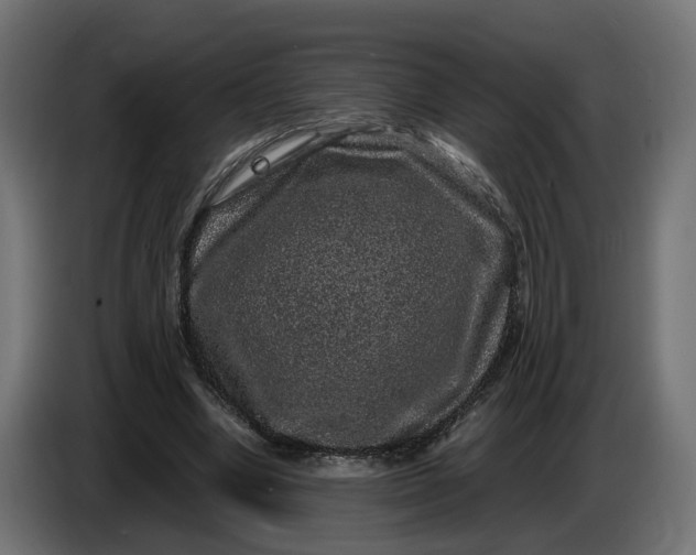 X0000087420442200705041311