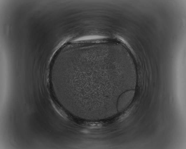 X0000087420443200705041311