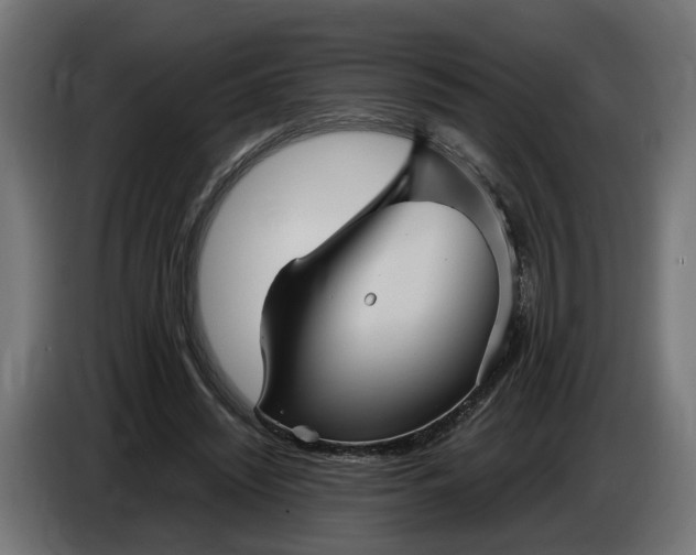 X0000087420444200705041311
