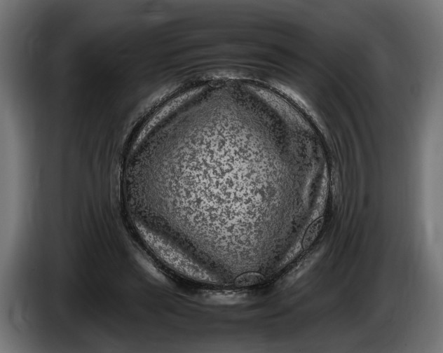 X0000087420445200705041311