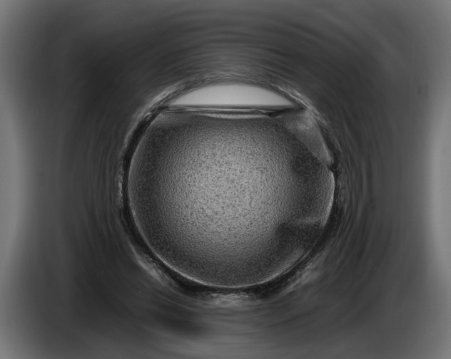 X0000087420446200705041311