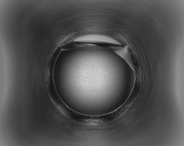 X0000087420448200705041311