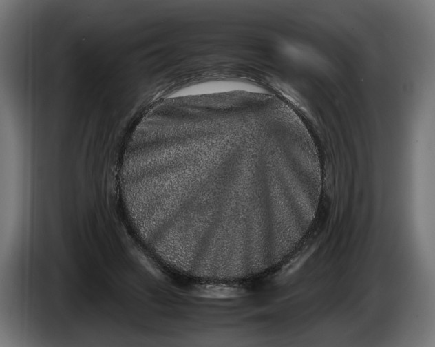 X0000087420449200705041311
