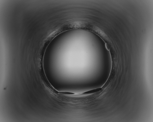 X0000087420450200705041311