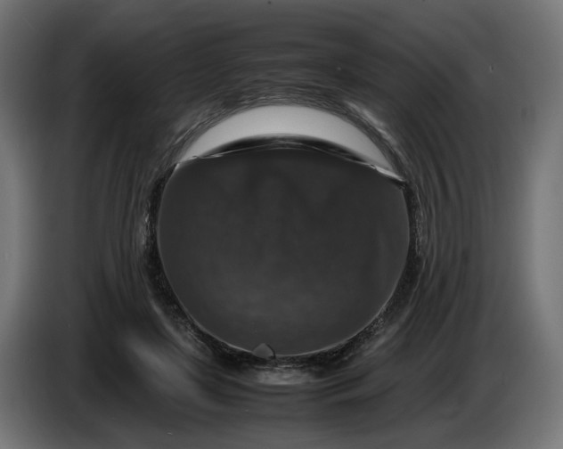 X0000087420451200705041311