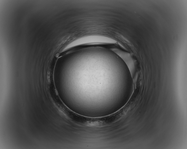 X0000087420452200705041311