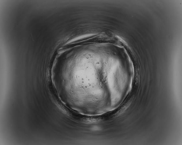 X0000087420453200705041311