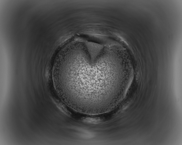 X0000087420455200705041311