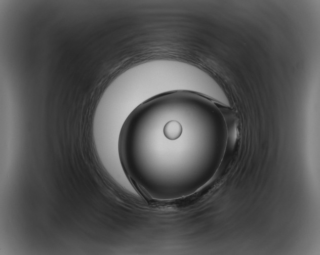 X0000087420456200705041311