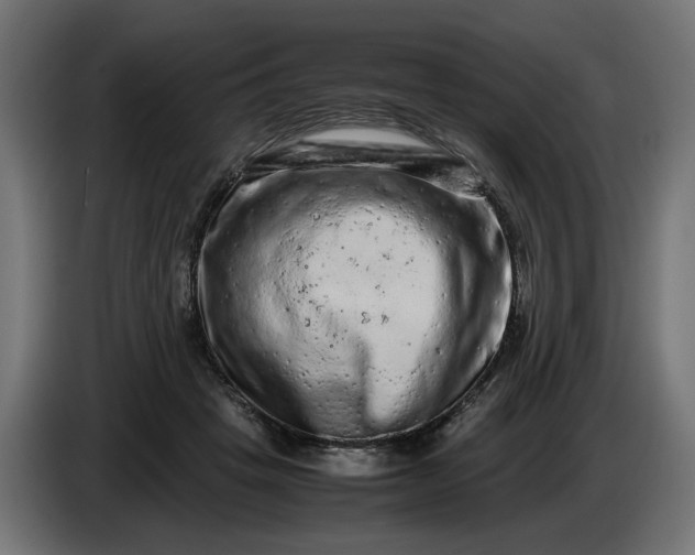 X0000087420457200705041311