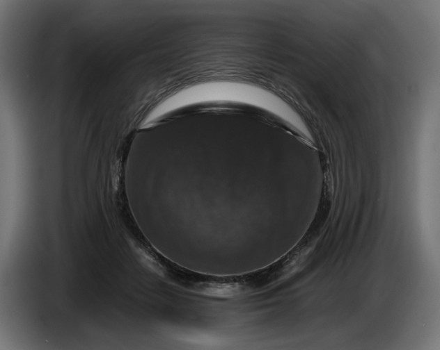 X0000087420458200705041311
