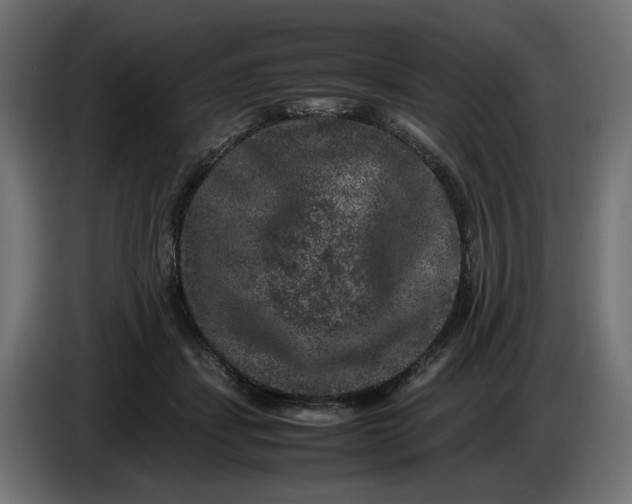X0000087420459200705041311