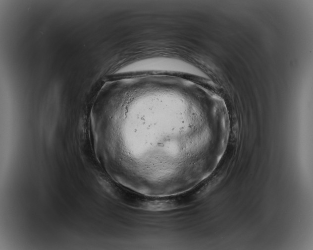 X0000087420461200705041311