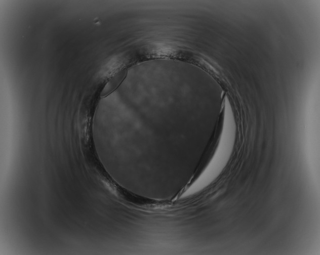 X0000087420462200705041311