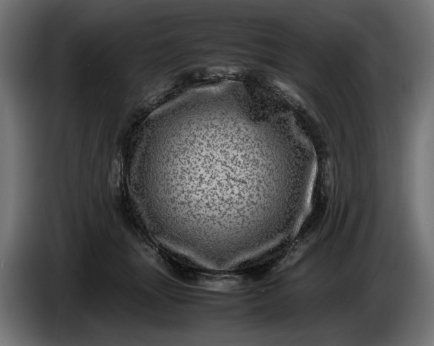 X0000087420463200705041311