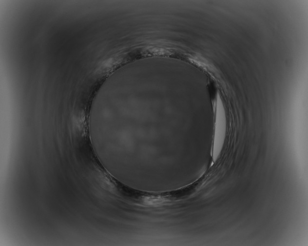 X0000087420465200705041311