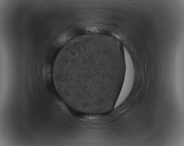 X0000087420466200705041311