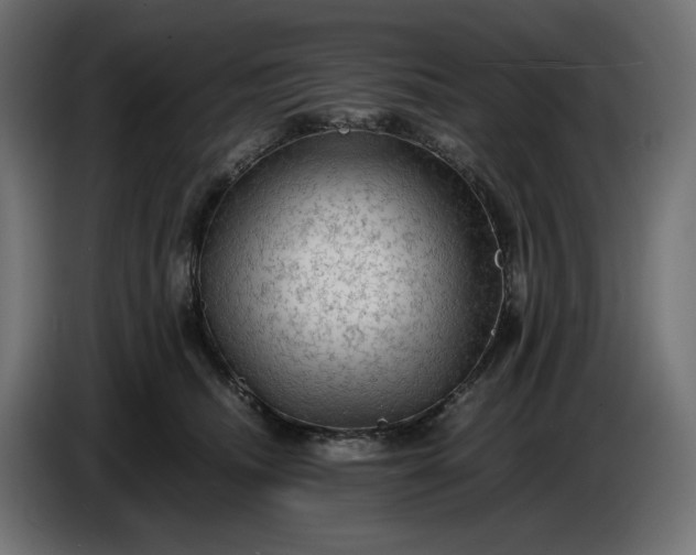 X0000087420468200705041311