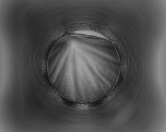 X0000087420469200705041311