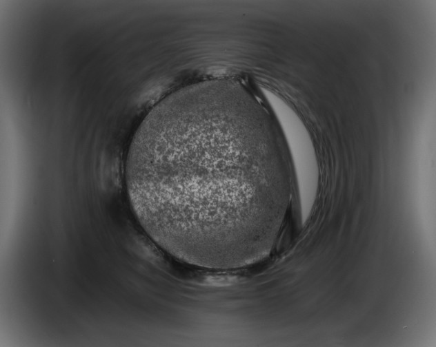 X0000087420470200705041311