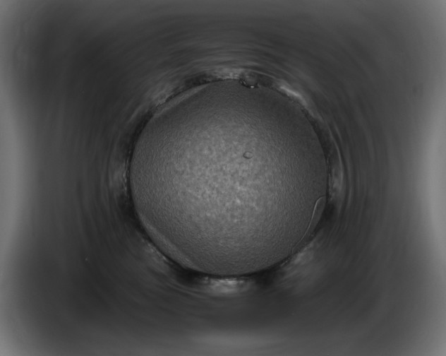 X0000087420473200705041311
