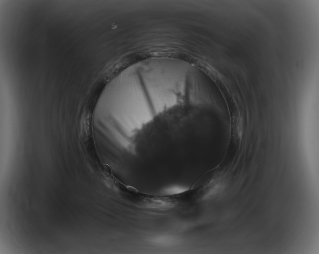 X0000087420475200705041311