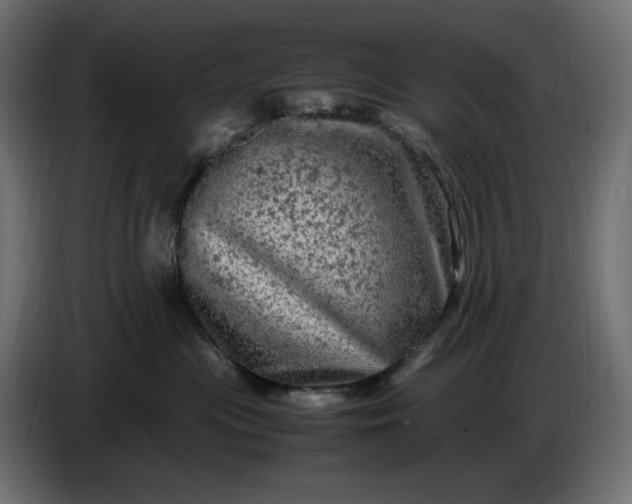 X0000087420477200705041311