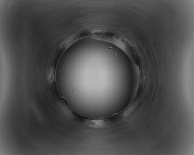 X0000087420478200705041311