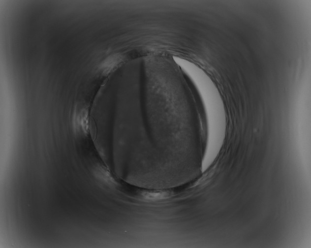 X0000087420479200705041311