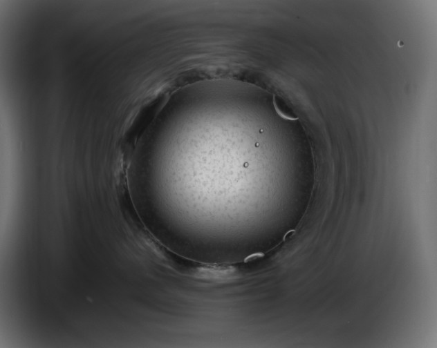X0000087420480200705041311