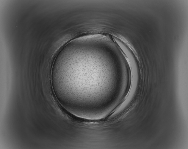 X0000087420481200705041311
