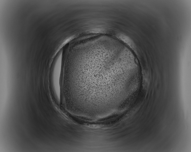 X0000087420482200705041311