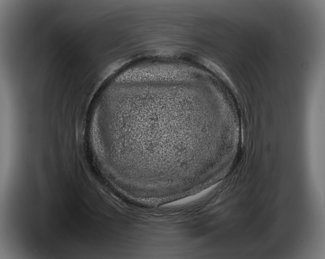 X0000087420483200705041311