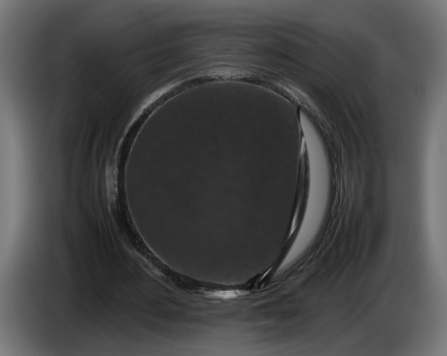 X0000087420484200705041311