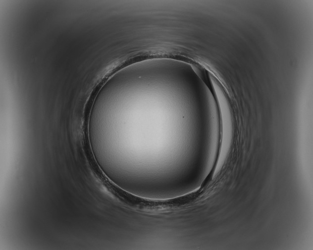 X0000087420485200705041311