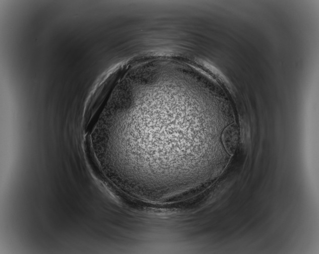 X0000087420486200705041311