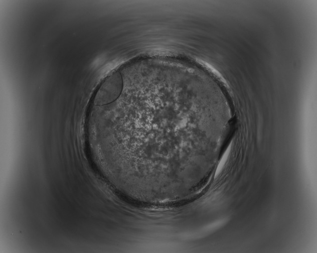 X0000087420487200705041311