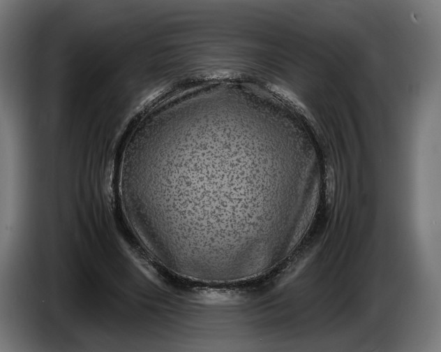 X0000087420490200705041311